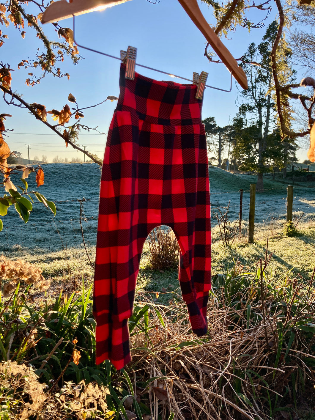 Red and Black Check Harem Pants