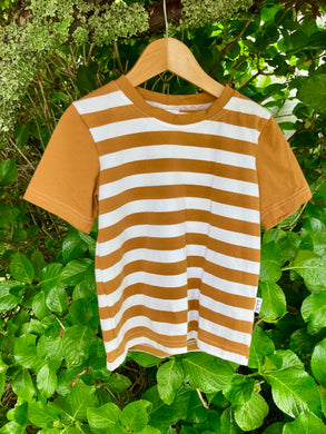 Cinnamon Stripe T Shirt